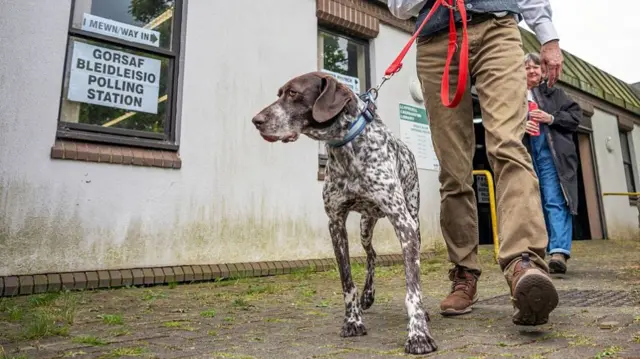 The image is focused on the dog, the legs of the owner can be seen