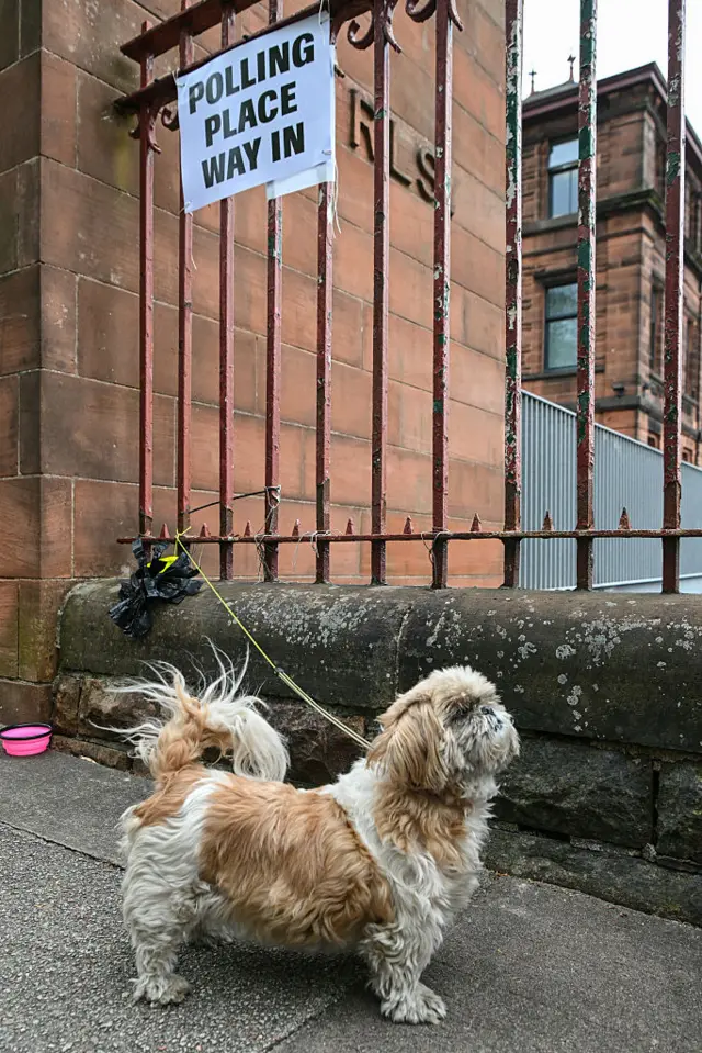 A dog stands attached to a lead tied to a railing. A polling sign can be seen