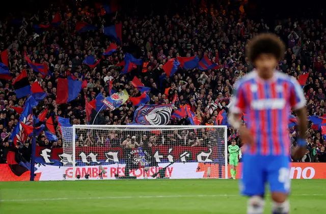Fans of Crystal Palace show their support