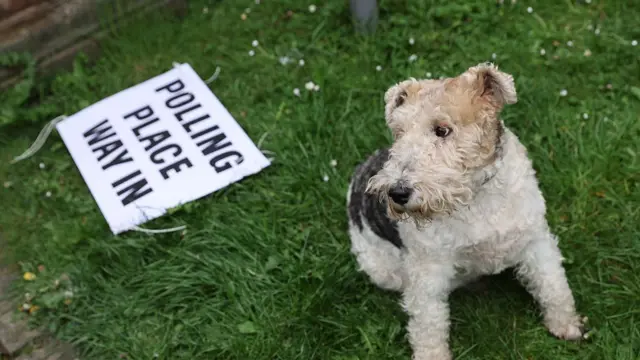 A dog waits outside Pollokshields Burgh Hall polling station on May 07, 2026 in Glasgow, Scotland