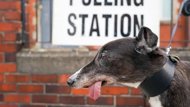 A dog waits by a polling station as voters in Hartlepool head to the polls during the local elections on May 07, 2026 in Hartlepool, England