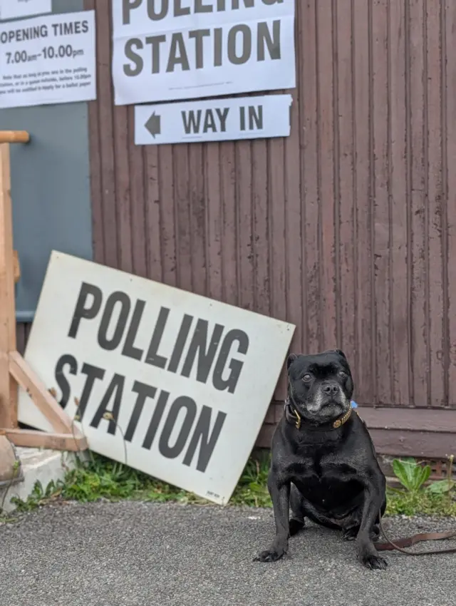 A black staffy sits alongside a polling station sign which is propped against a brown wood building. The dog has a black and metal colour and there is a brown leather lead attached