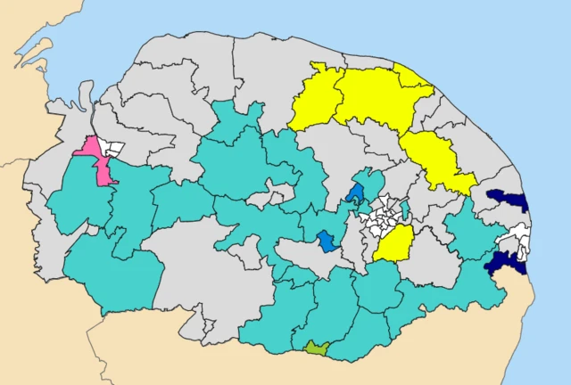A map of Norfolk is shown broken into the 84 political division of its county council, with the relevant colours for the relevant winning parties.