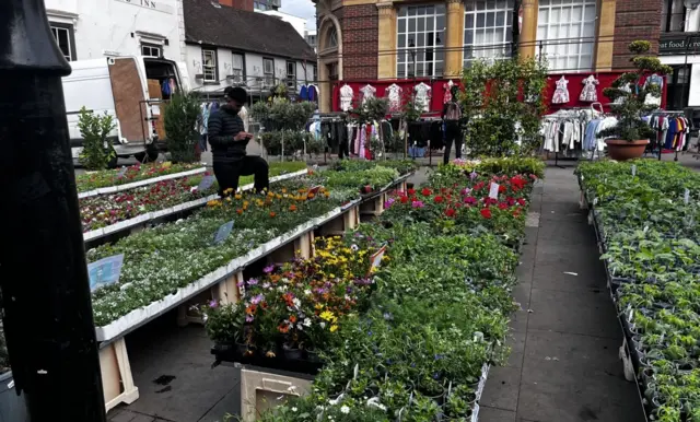 Person working among lines of plants in Romford Market