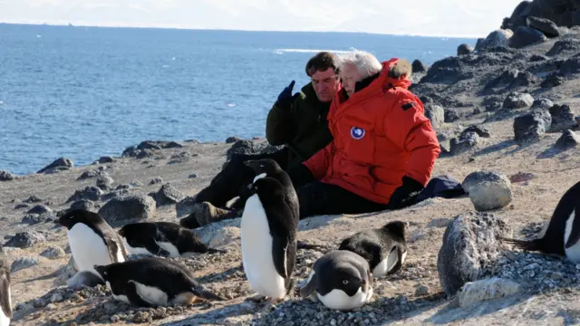 Alastair Fothergill and Sir David Attenborough sitting next to the sea surrounded by penguins