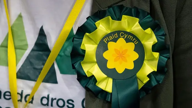 A Plaid Cymru rosette