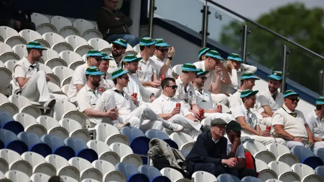 Cricket supporters