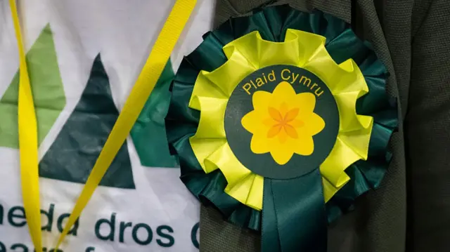A close‑up photograph of a Plaid Cymru rosette pinned to a dark jacket. The rosette is circular with layered ribbons in yellow and dark green. At the centre is a yellow flower symbol on a green background, with the words “Plaid Cymru” printed in yellow around the top edge. The pleated ribbon edges create a textured, flower‑like shape, with dark green ribbon tails hanging down.