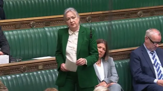 Liz Saville Roberts stood up in the House of Commons