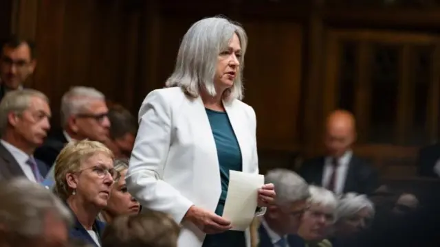 Liz Saville Roberts speaking during Prime Minister's Questions last week