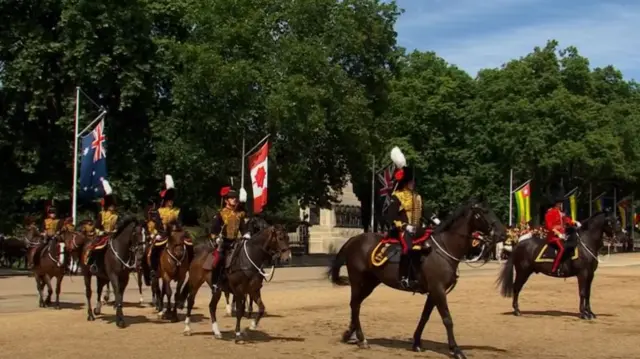 The King's Troop Royal Horse artillery take part in the parade