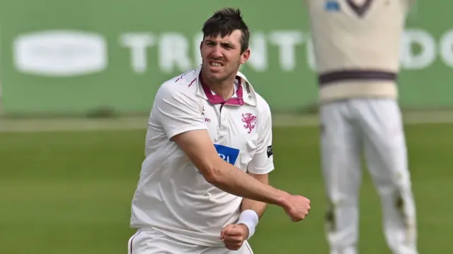Craig Overton celebrates for Somerset