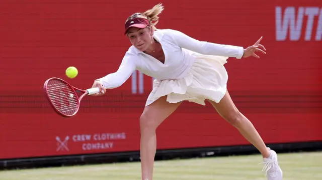 vekic