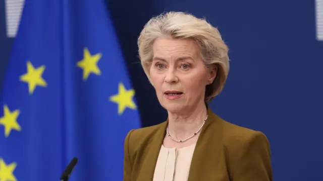 A woman, wearing a brown blazer, speaking into a microphone, with the blue flag and gold stars of a flag behind her.