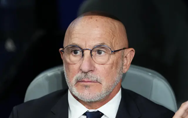 Luis de la Fuente (Spain) looks on
