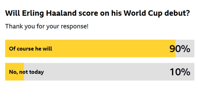 Haaland vote