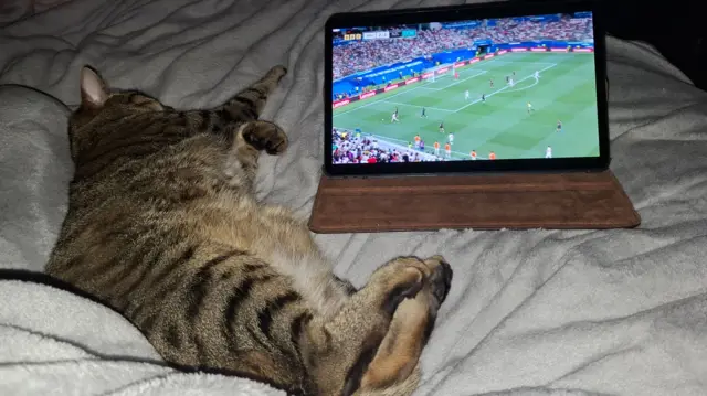 A cat sleeps next to a tablet with a game of football on