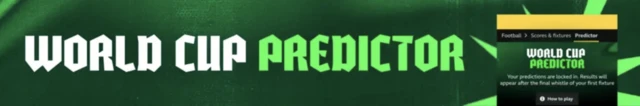 World Cup predictor banner
