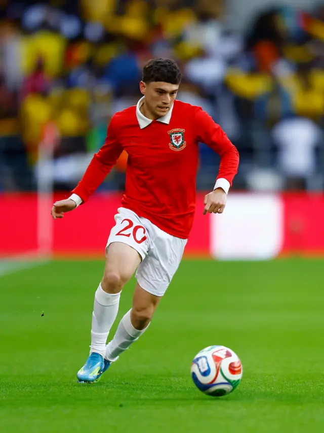 Wales' Dan James