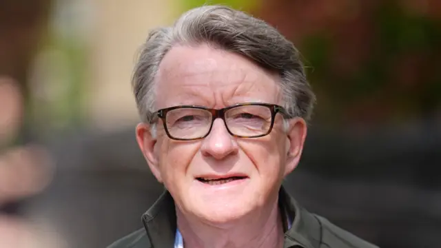 Lord Peter Mandelson in a close up. He wears glasses and a dark greenish-brown jacket.