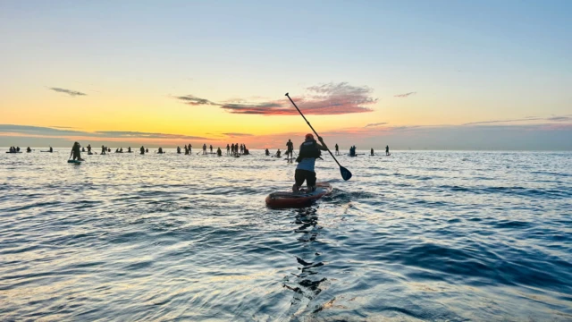 Paddleboarders are on the sea in front of the sun.