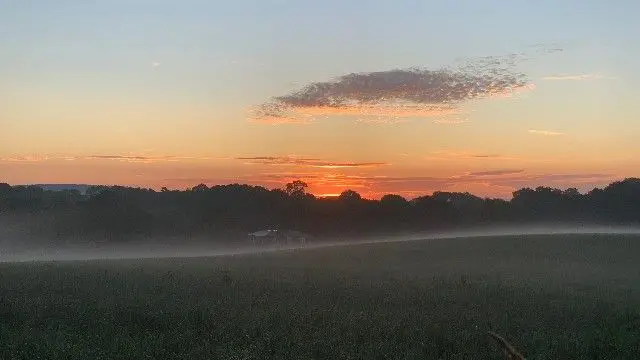A misty field with a sunrise