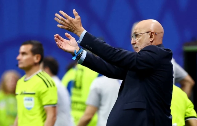 Spain coach Luis De La Fuente reacts