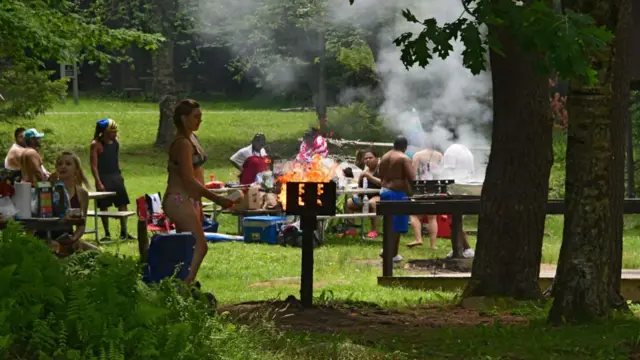 A large group of people enjoying a barbecue in a public park beneath the shade of trees.