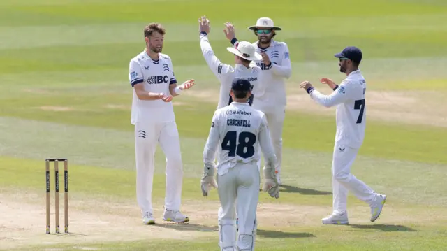 Tom Helm celebrates taking a wicket