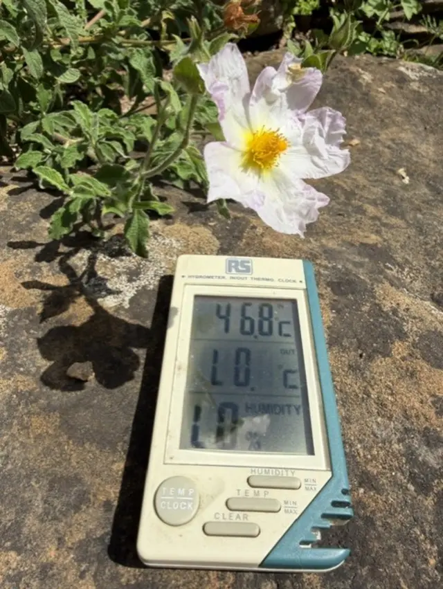 A thermometer in the sun