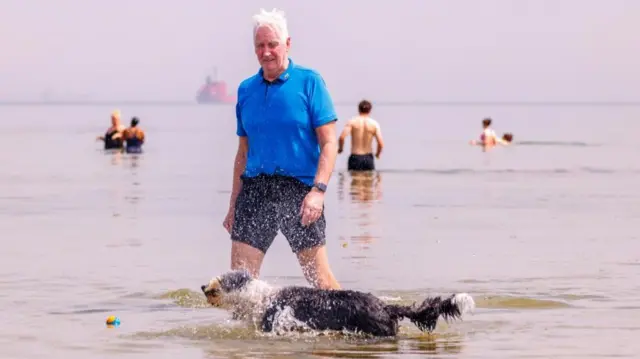 Darren and his bearded collie Alfie enjoying the water at Helen's Bay Beach in Crawfordsburn Country Park, County Down