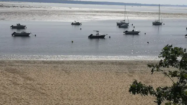 Boats are seen moored in shallow waters in the sea next to a sandy beach. They are spaced evenly apart with some powered by motors and others with unfurled sails