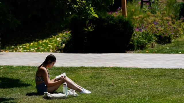 A person reads a book