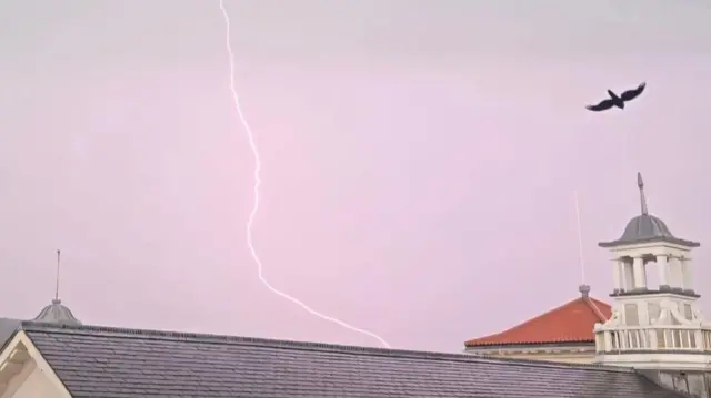 A thin purple lightening strike in the sky above a grey slate building, with a black bird flying past.