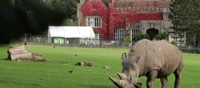 Marwell Zoo house and rhino