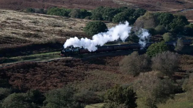 A steam train on the Yorkshire Moors line