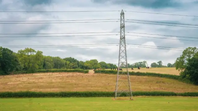 A pylon is seen in a field