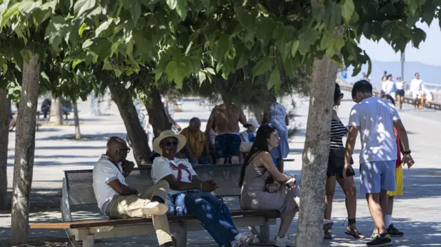 People sitting on a bench under a tree with green leaves, seeking shade.