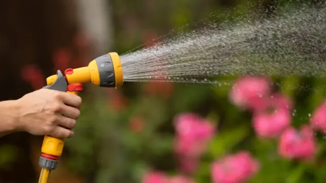 A yellow hosepipe spraying water