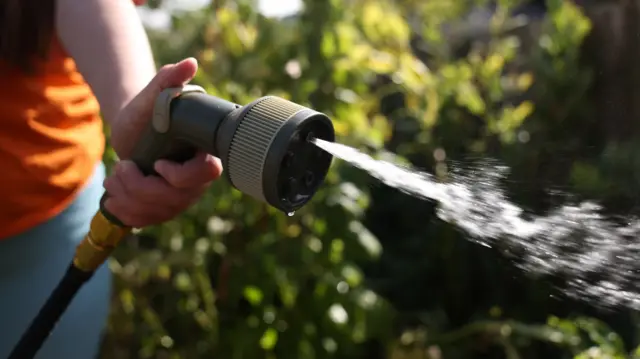 A hosepipe sprays water in a garden, held by the hand of a person whose face is not shown.