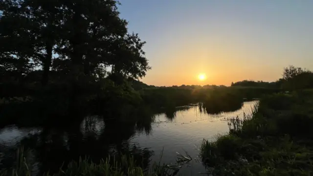 Wareham