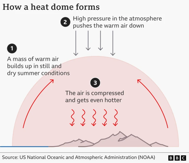Infographic titled “How a heat dome forms,” explaining the process in three labelled steps. A large dome shape sits over a landscape, representing trapped hot air. Step 1: “A mass of warm air builds up in still and dry summer conditions.” Step 2: “High pressure in the atmosphere pushes the warm air down,” shown by downward arrows above the dome. Step 3: “The air is compressed and gets even hotter,” illustrated with wavy heat lines beneath the dome. Curved arrows along the sides show air circulating within the dome, and ground features such as hills or mountains appear underneath. Source is the US National Oceanic and Atmospheric Administration (NOAA), with a BBC logo at the bottom.