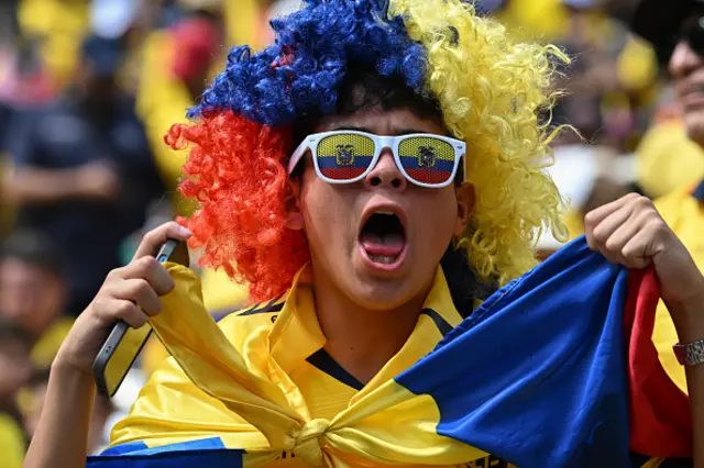An Ecuador fan