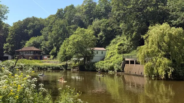 Several paddleboarders on the river in Conham River Park on a sunny day. The river is surrounded by trees and boathouses.