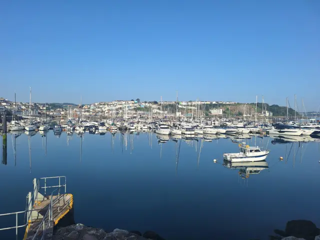 Huge number of boats fill the picture. They're docked in water with land in the distance