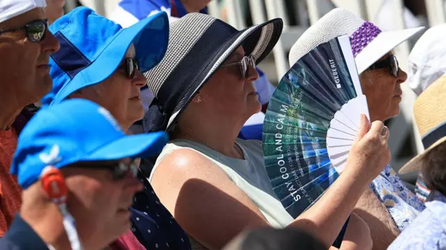 Fan with fans