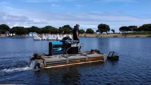 a crafts mounted on caterpillar tracks fitted with paddles, to drive straight into the water and float around cutting and scooping up the algae.