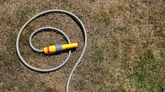 A hosepipe lies on the ground.