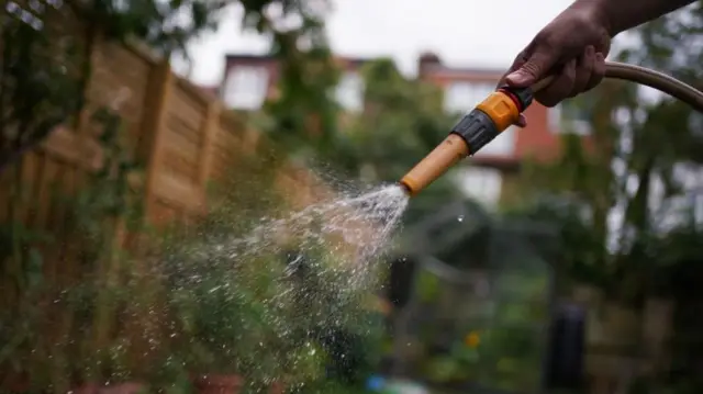 A hosepipe is shown spraying water in a garden.