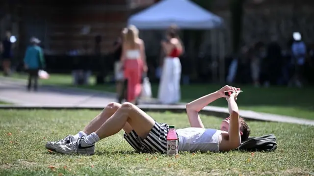 Woman lying on the grass in a sunny park looking at her phone